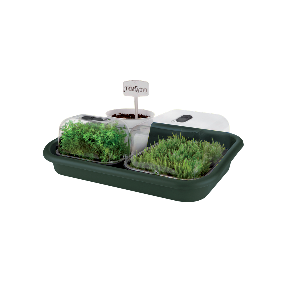 Green Basics Anzucht Unterlage 59