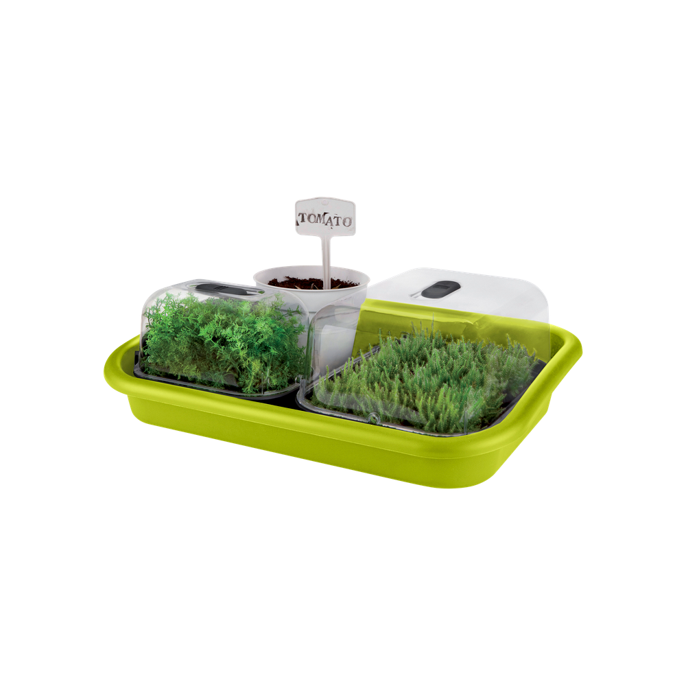Green Basics Anzucht Unterlage 59