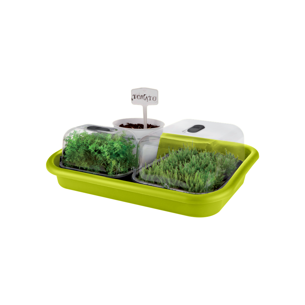 Green Basics Anzucht Unterlage 59