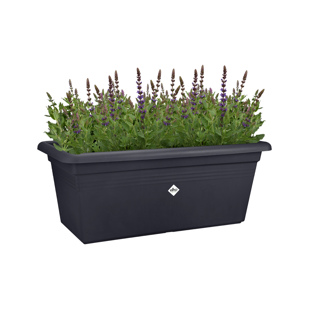 Green Basics Garten Xxl 60