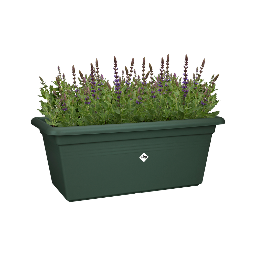 Green Basics Garten Xxl 80