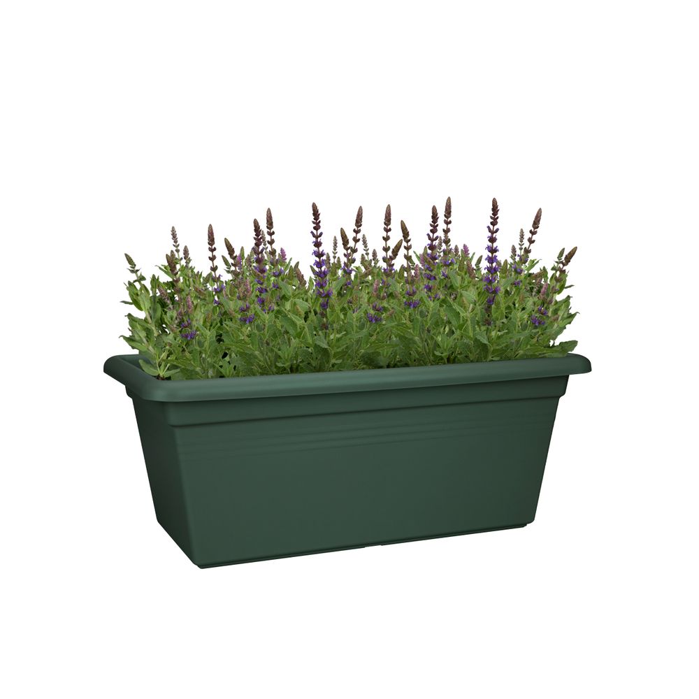Green Basics Garten Xxl 80