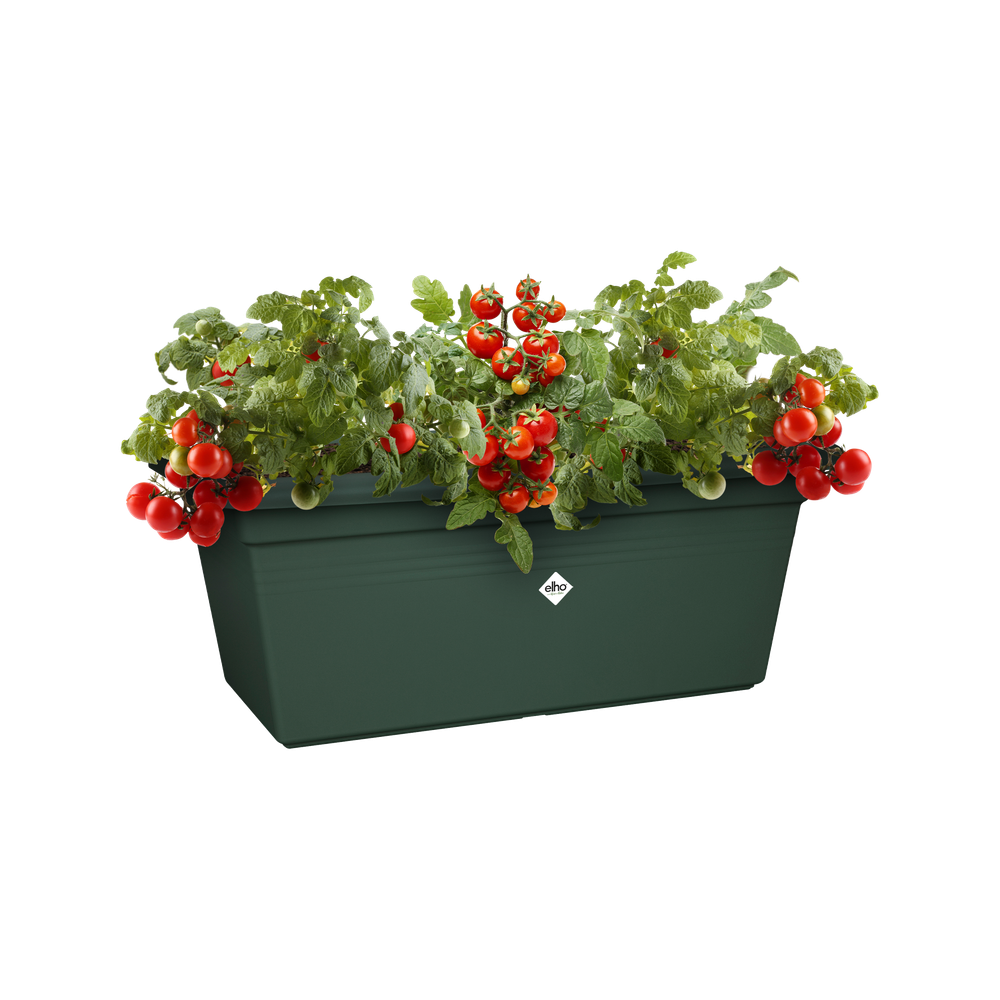 Green Basics Garten Xxl 80