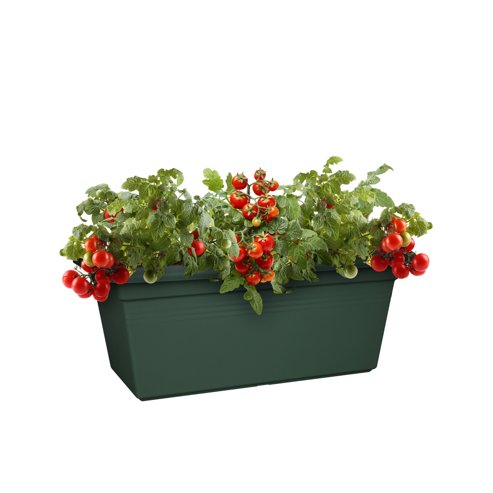 Green Basics Garten Xxl 80