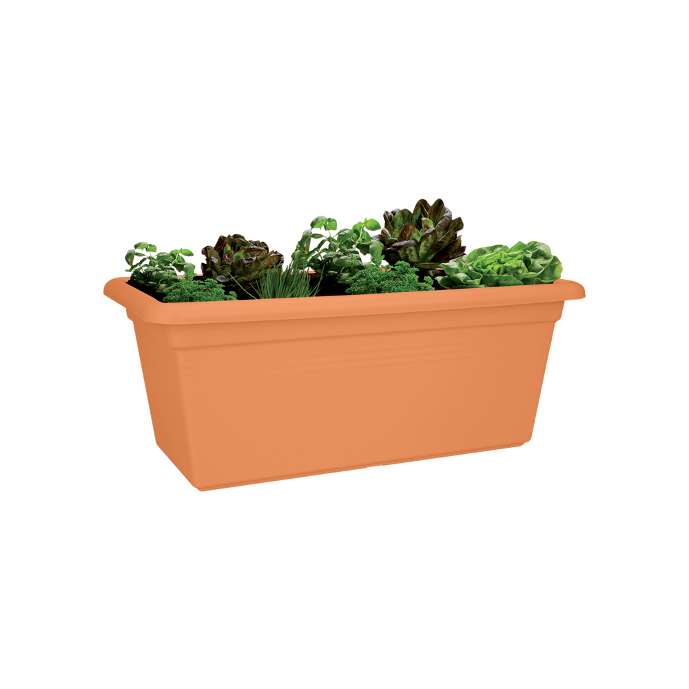 Green Basics Garten Xxl 80
