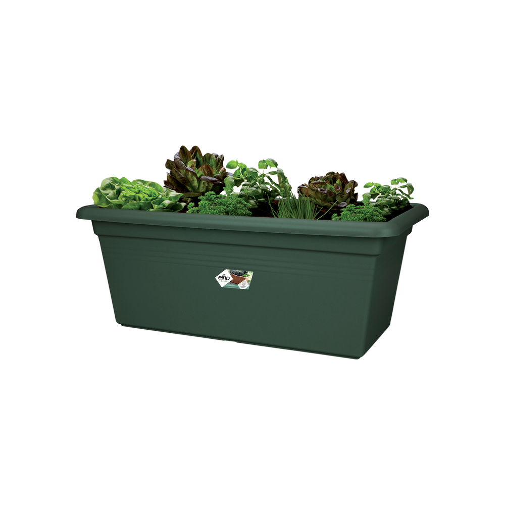 Green Basics Garten Xxl 60