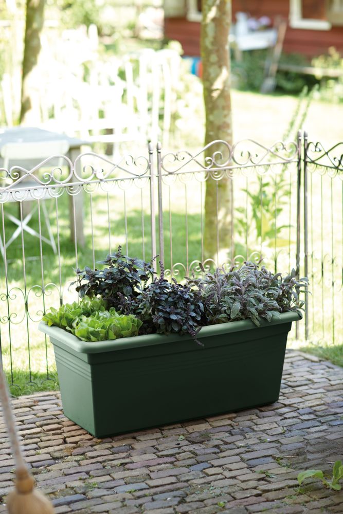 Green Basics Garten Xxl 60