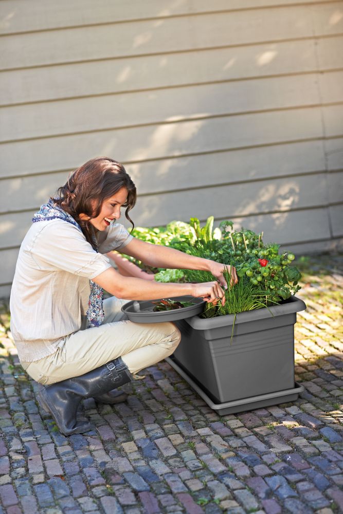 Green Basics Garten Xxl 80