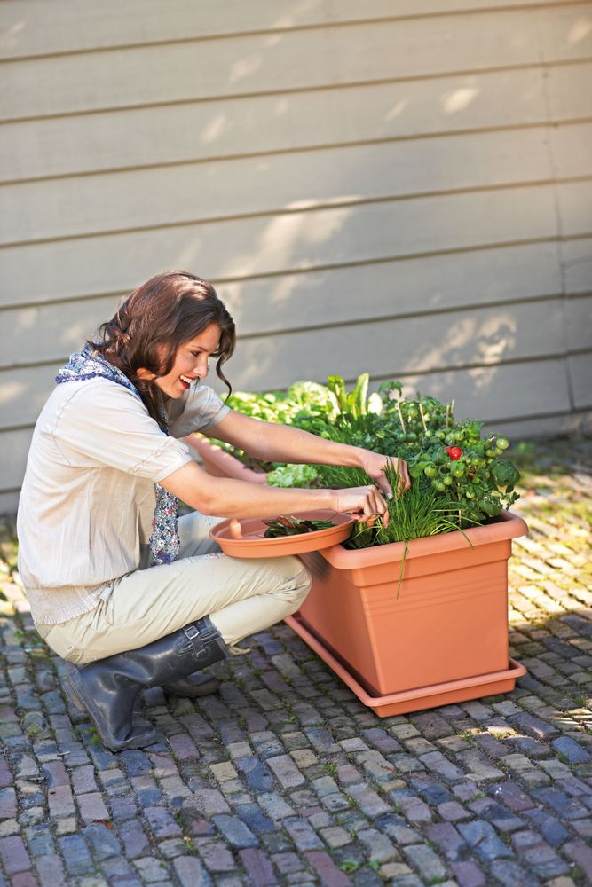 Green Basics Garten Xxl Untersetzer 80