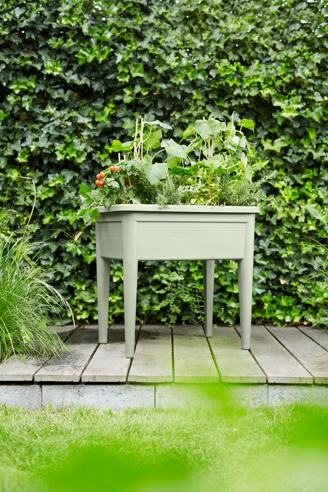 Green Basics Anzucht Tisch Xxl 75