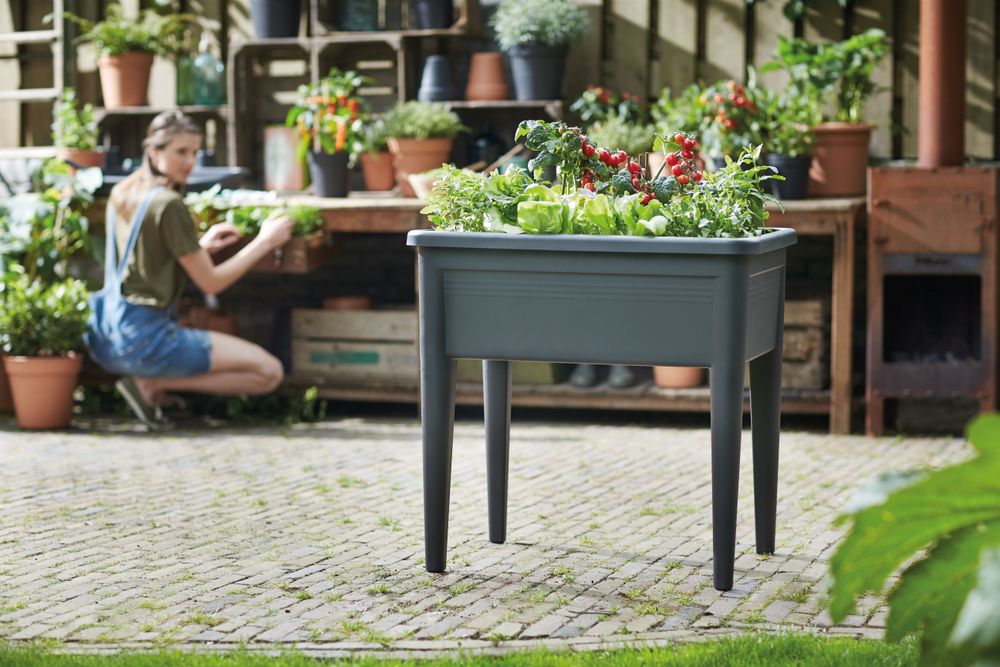 Green Basics Anzucht Tisch Super Xxl