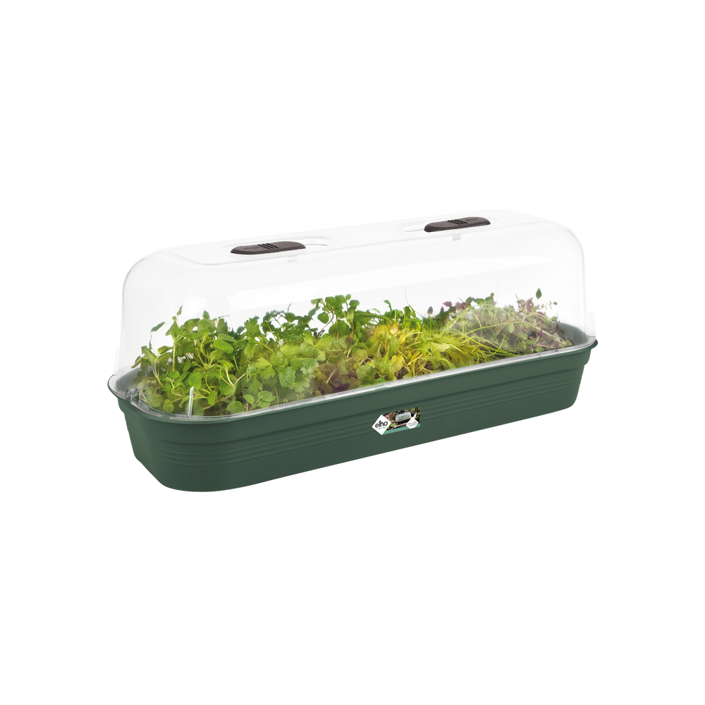Green Basics Anzucht Schale L