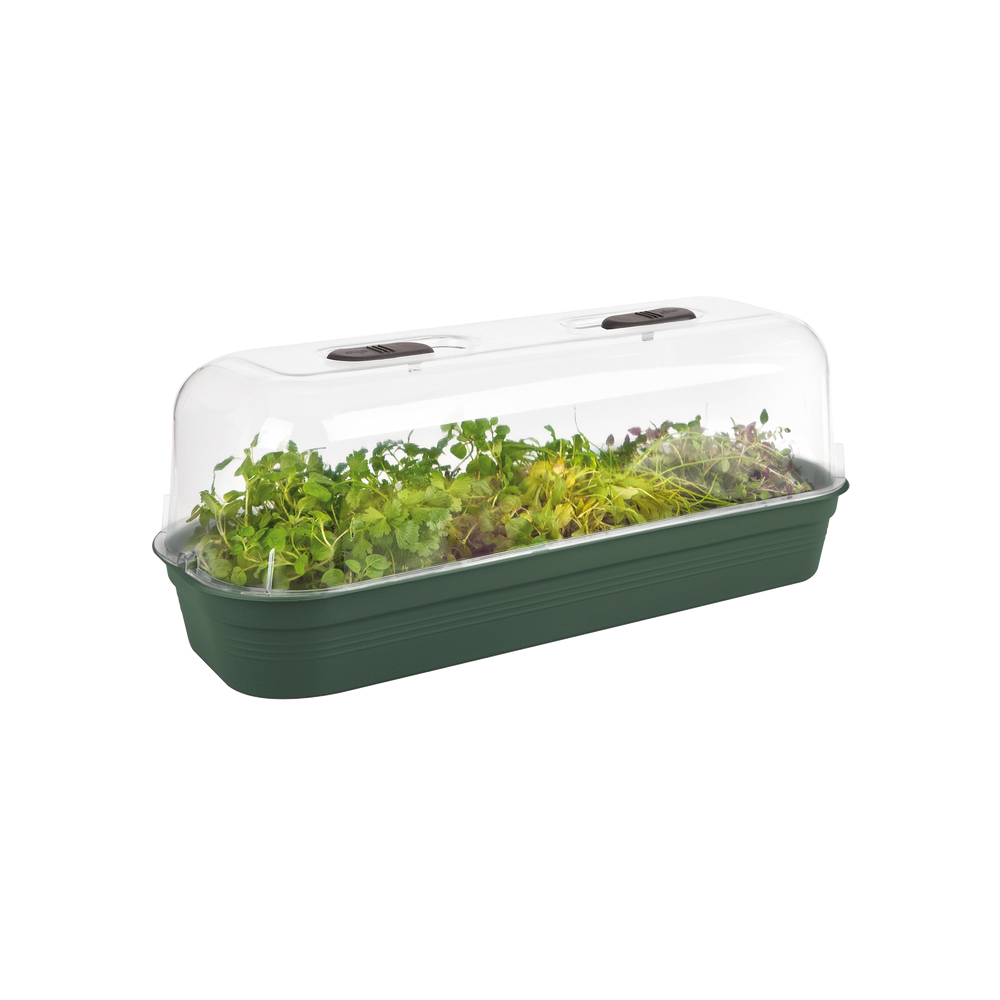 Green Basics Anzucht Schale L