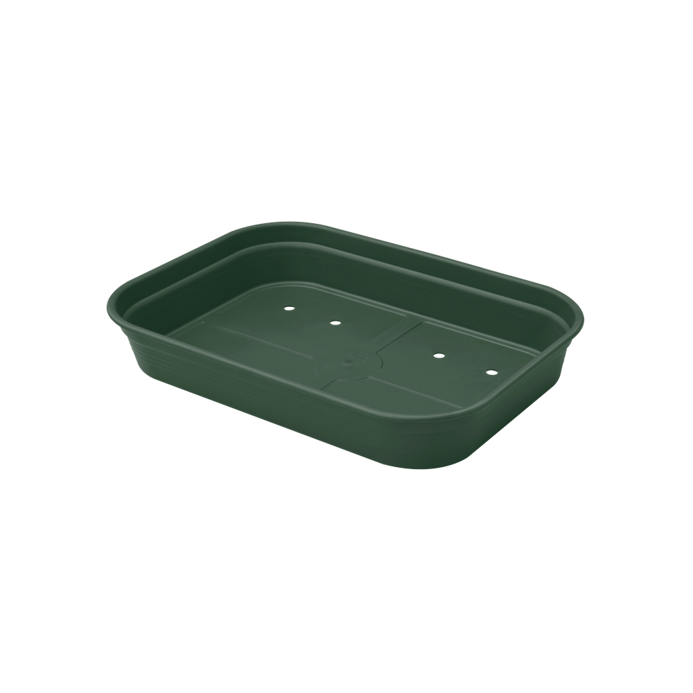 Green Basics Anzucht Schale M