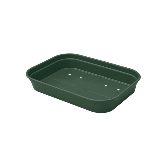 Green Basics Anzucht Schale M