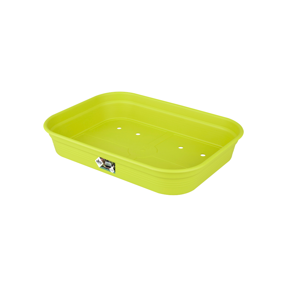 Green Basics Anzucht Schale M