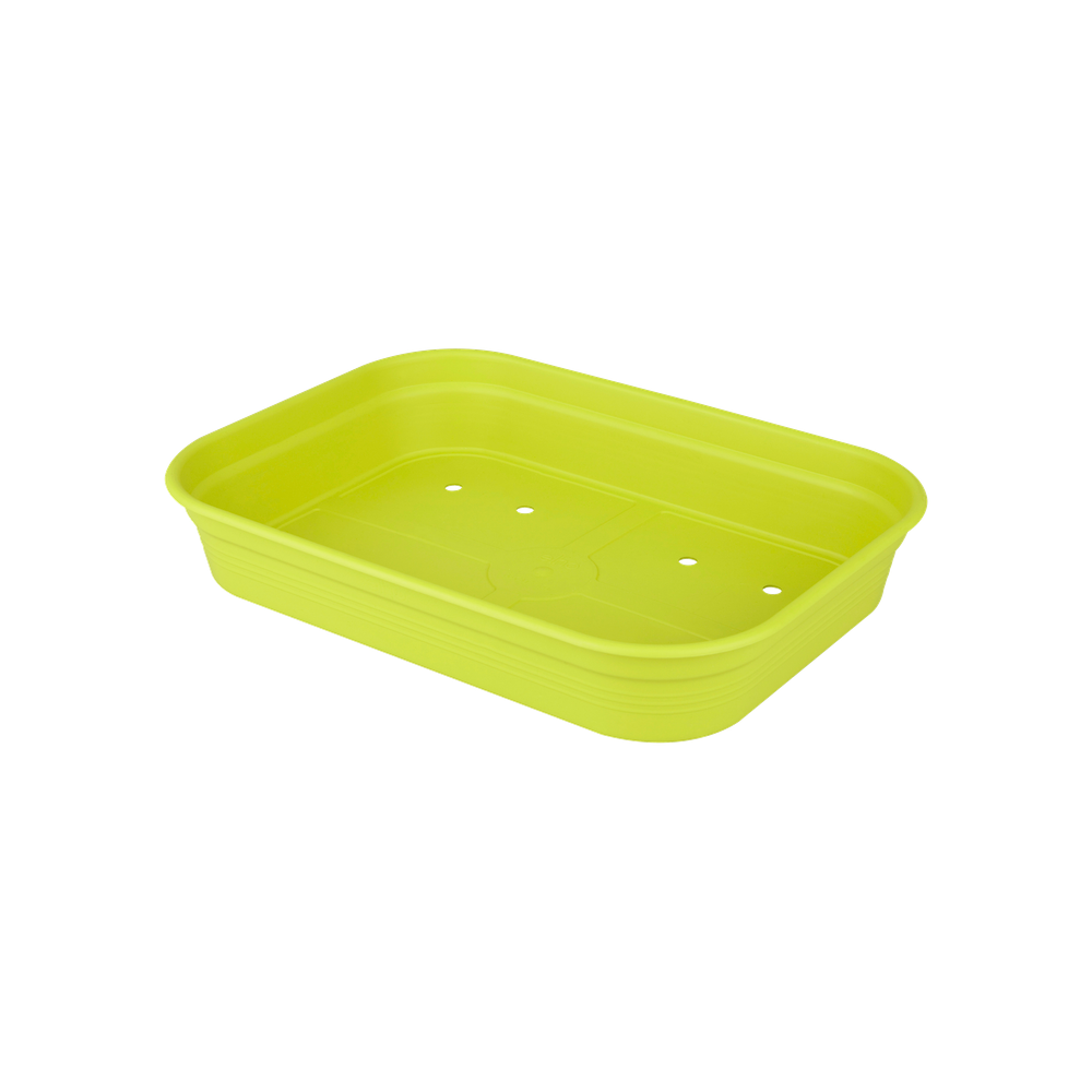Green Basics Anzucht Schale M