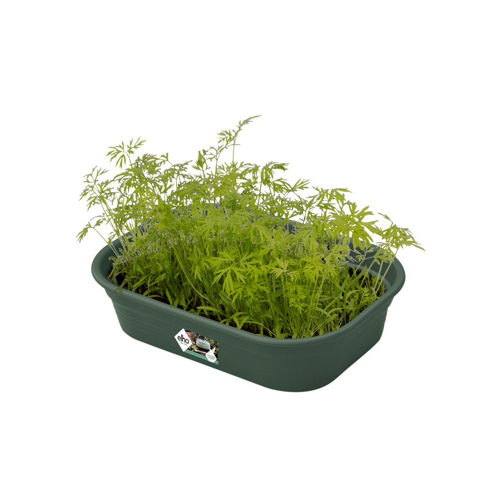 Green Basics Anzucht Schale S