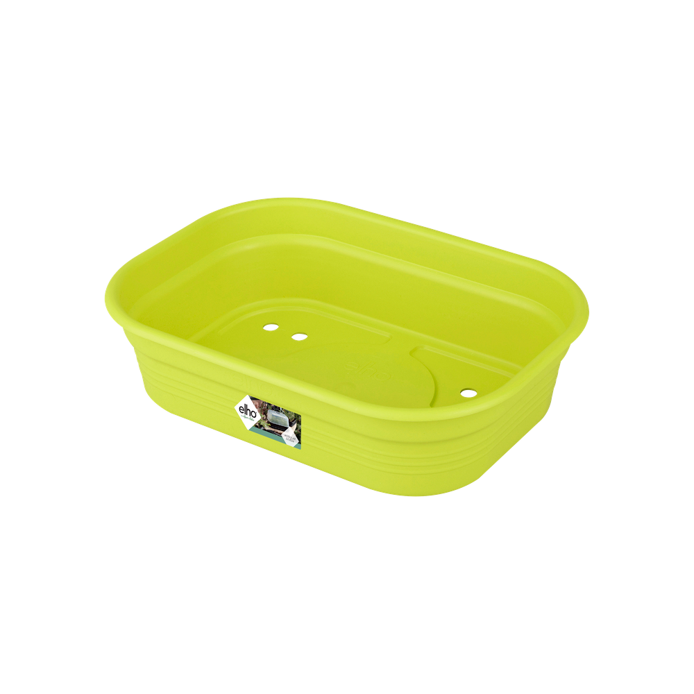 Green Basics Anzucht Schale S