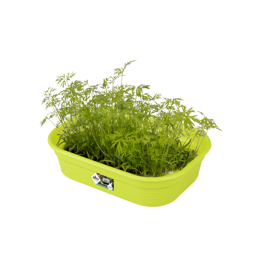 Green Basics Anzucht Schale S