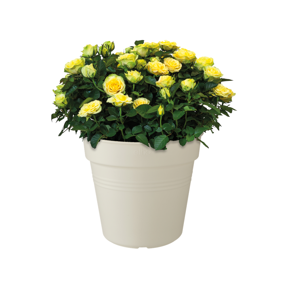 Green Basics Anzuchttopf 40
