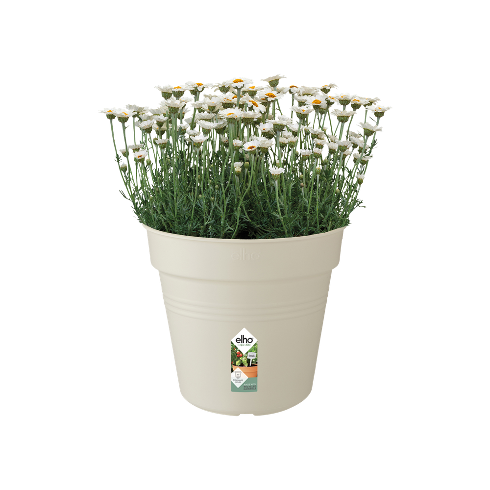 Green Basics Anzuchttopf 30