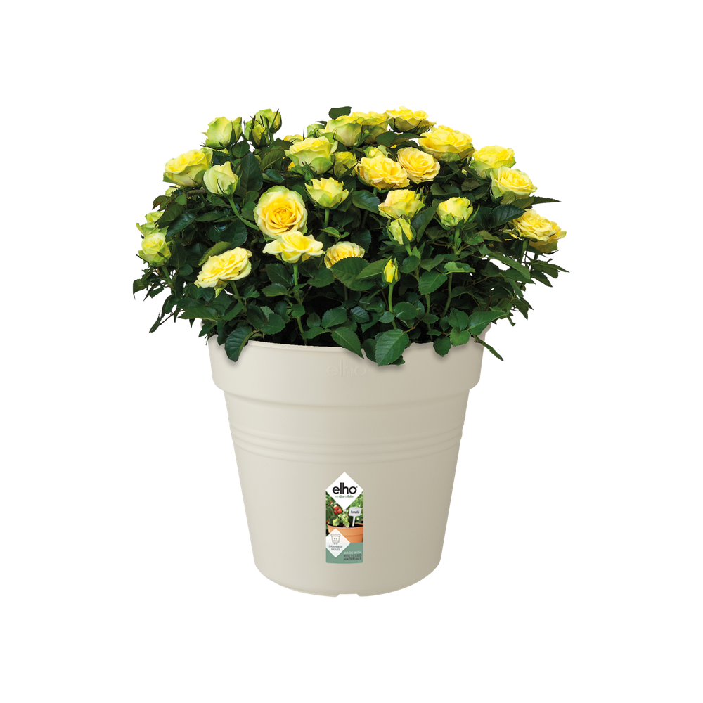 Green Basics Anzuchttopf 40