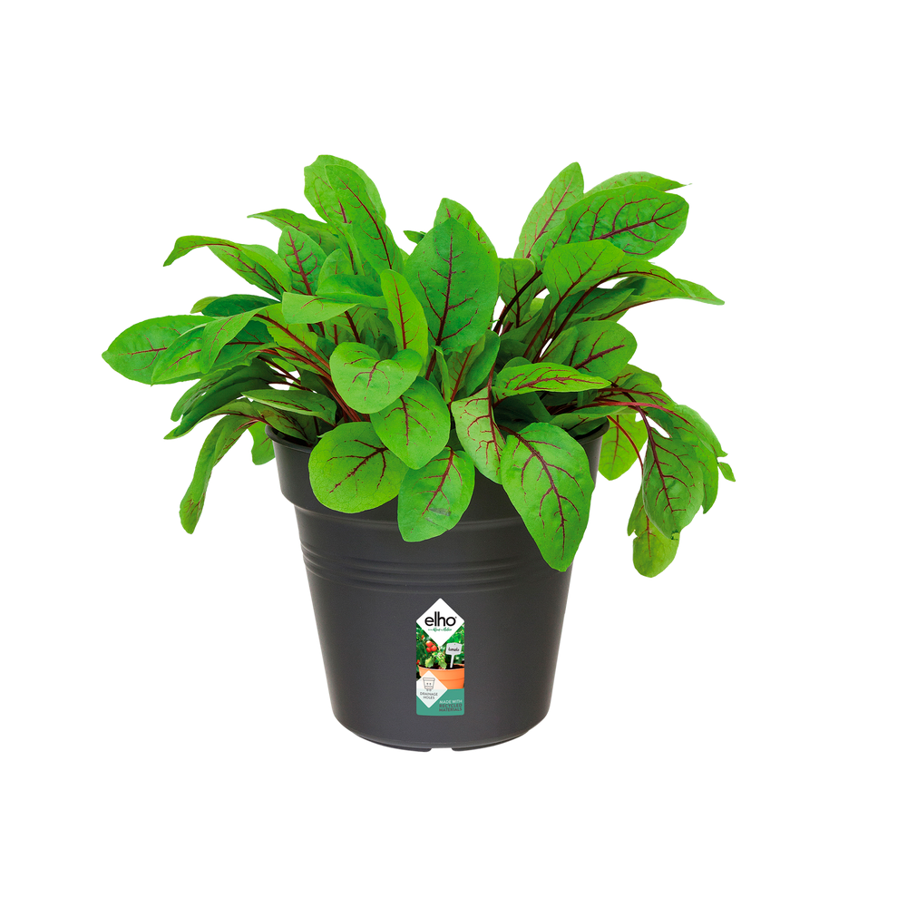 Green Basics Anzuchttopf 13