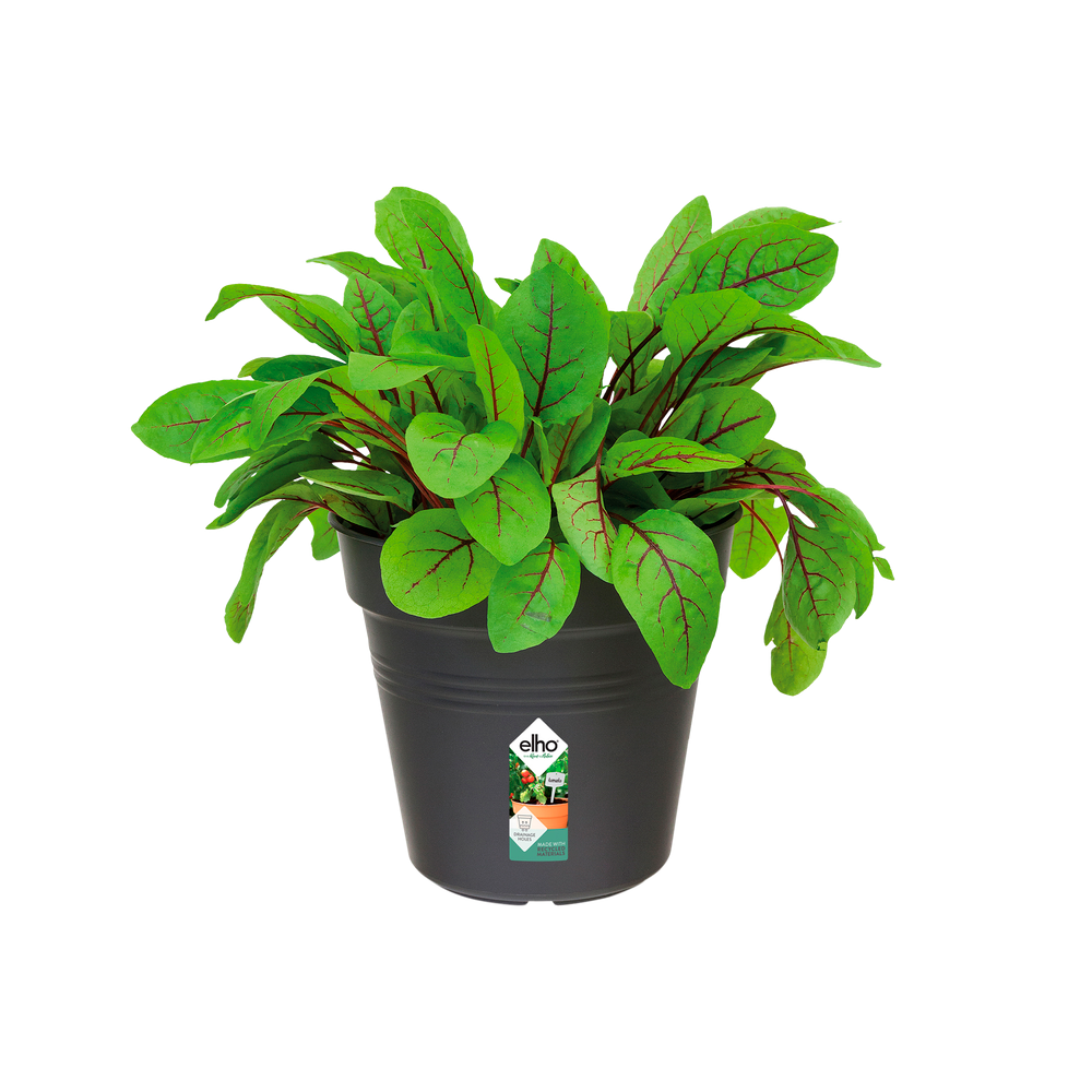 Green Basics Anzuchttopf 19