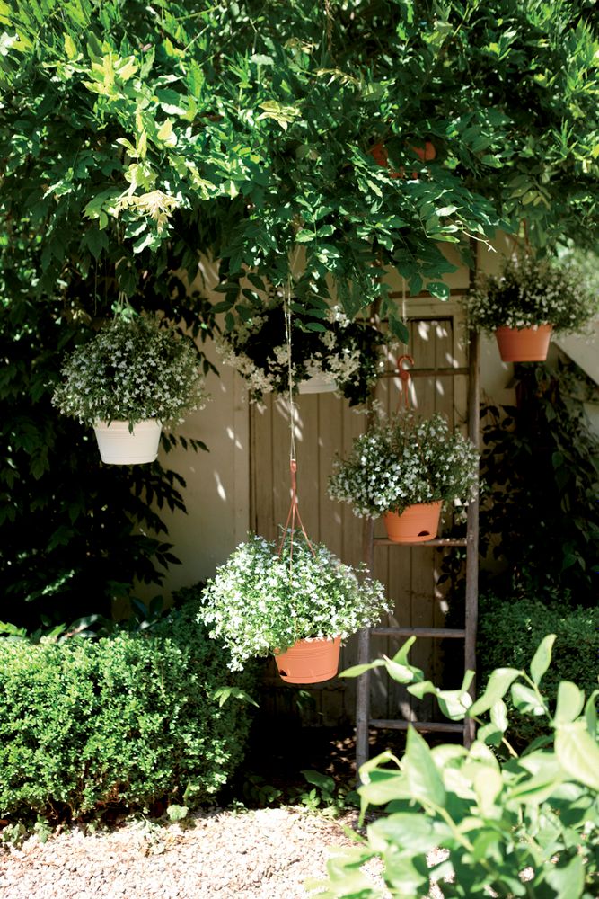 Green Basics Hängeampel 28