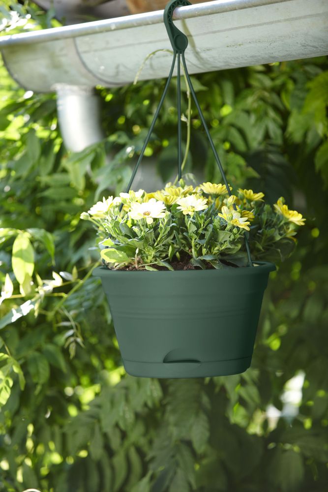 Green Basics Hängeampel 28