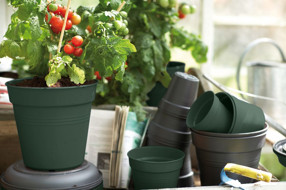 Green Basics Anzuchttopf 11