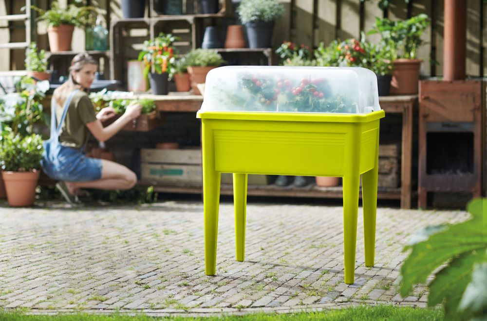 Green Basics Anzucht Tisch Super Xxl