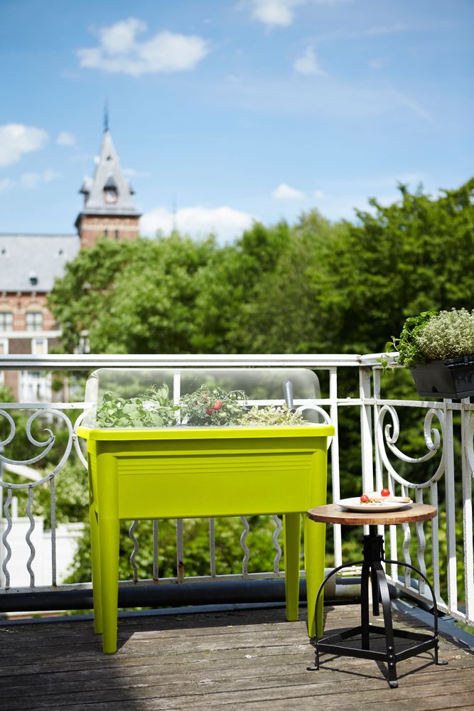 Green Basics Anzucht Tisch Xxl 75