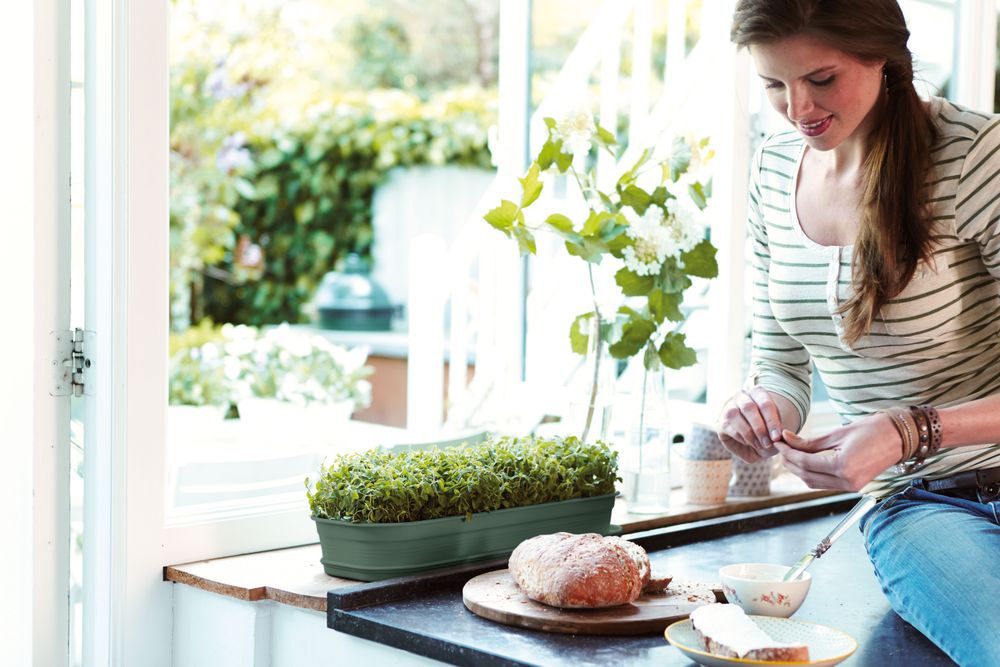 Green Basics Anzucht Schale L