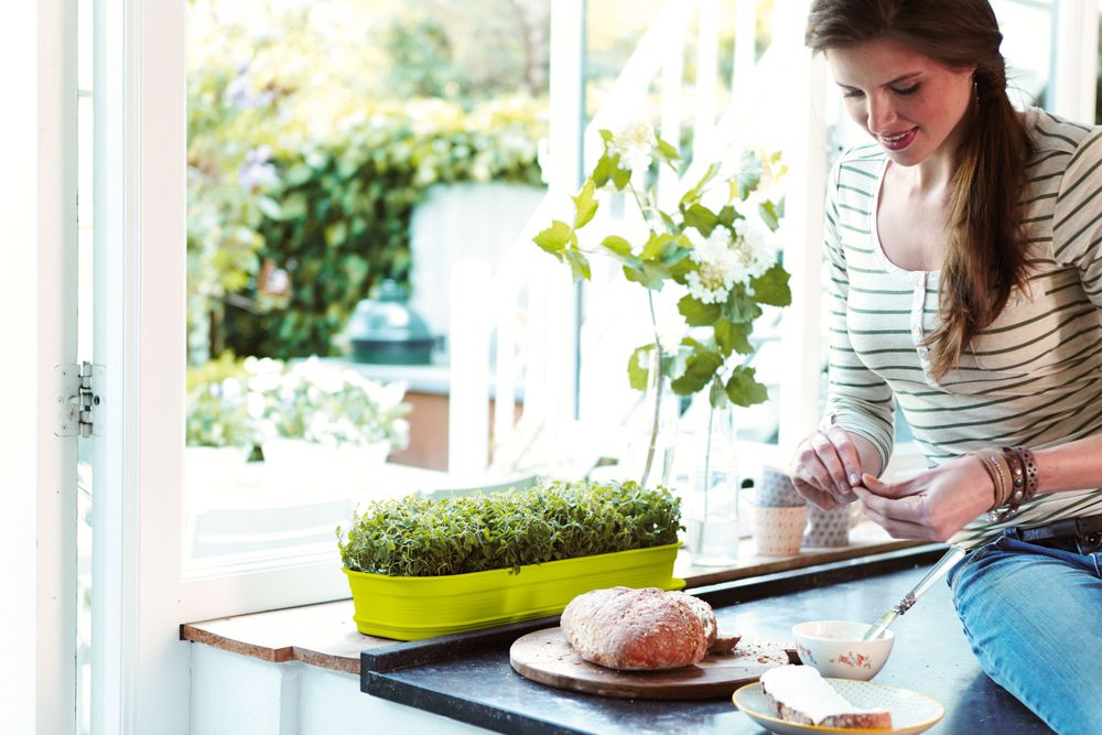 Green Basics Anzucht Schale L