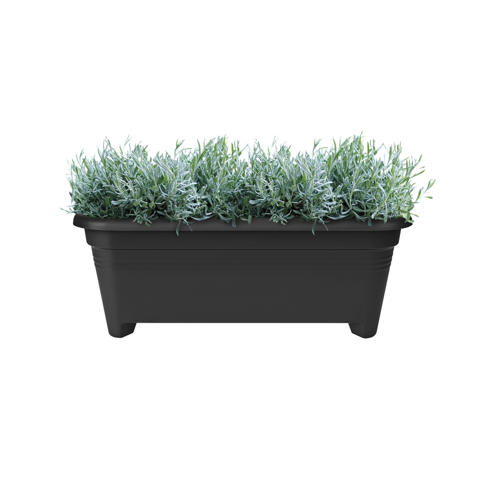 Green Basics Lange 60