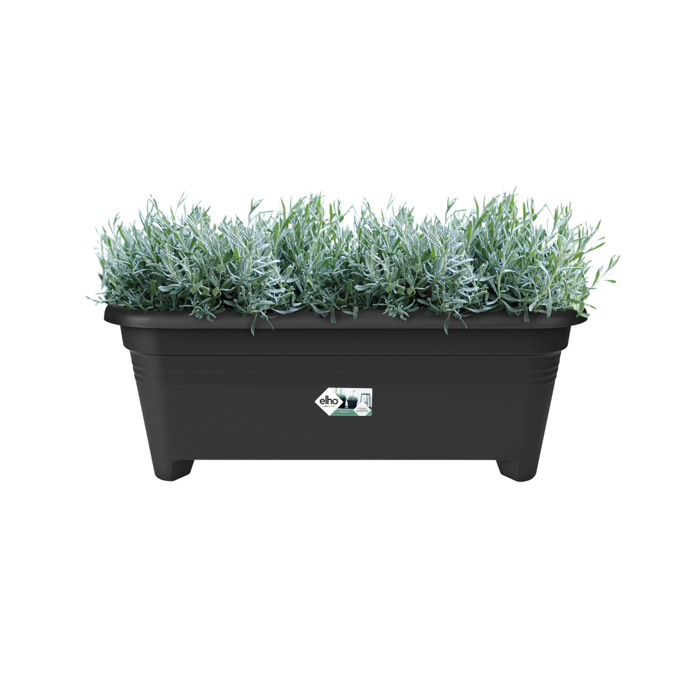Green Basics Lange 60