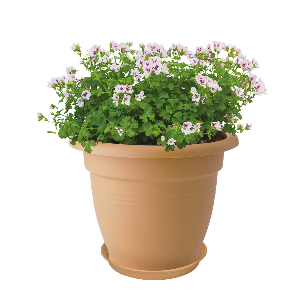 Green Basics Untersetzer 34