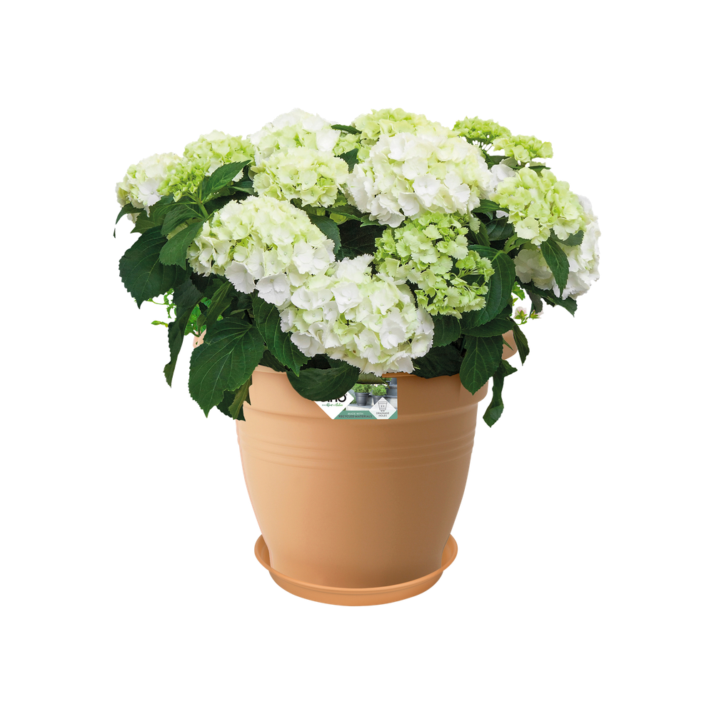 Green Basics Untersetzer 53