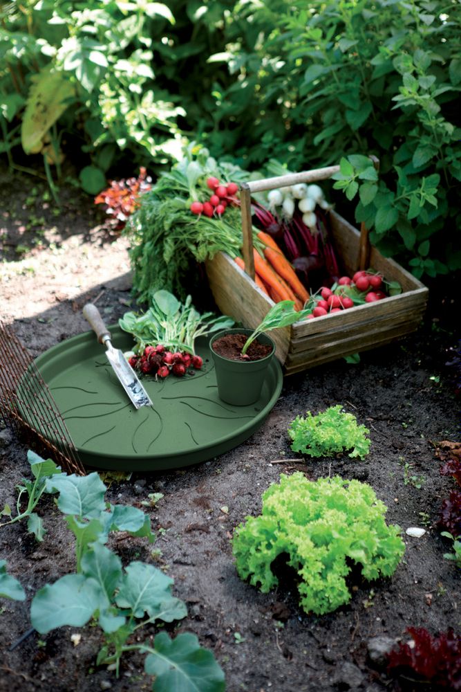 Green Basics Untersetzer 14
