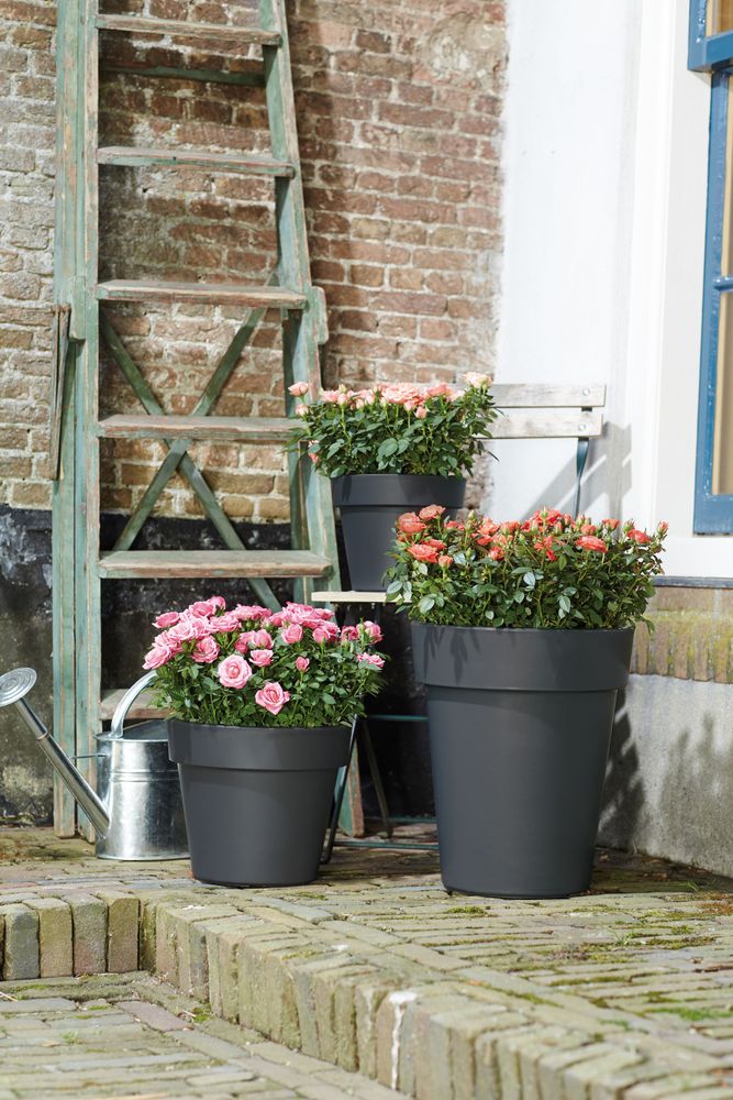 Green Basics Top Planter 30