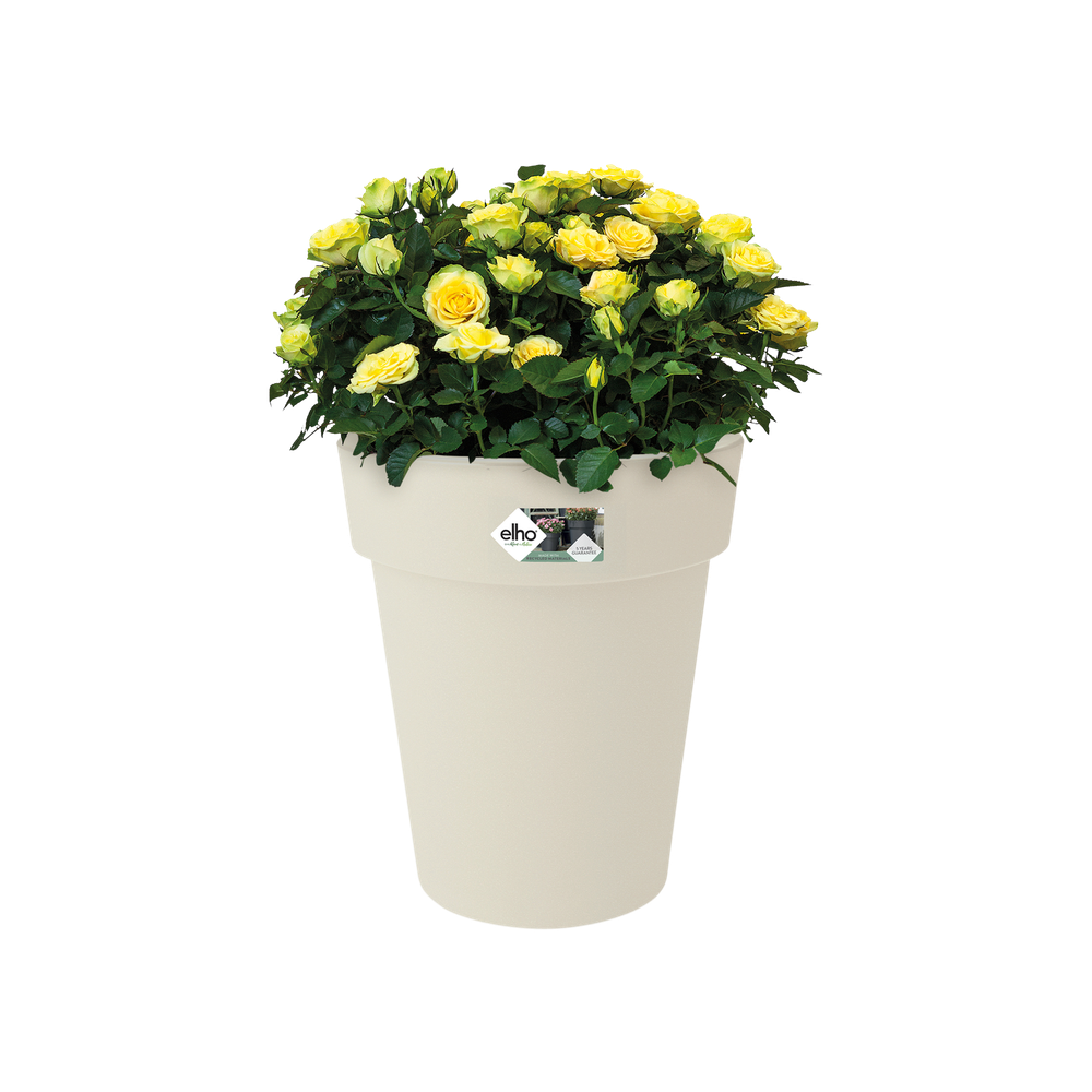 Green Basics Top Planter Hoch 35