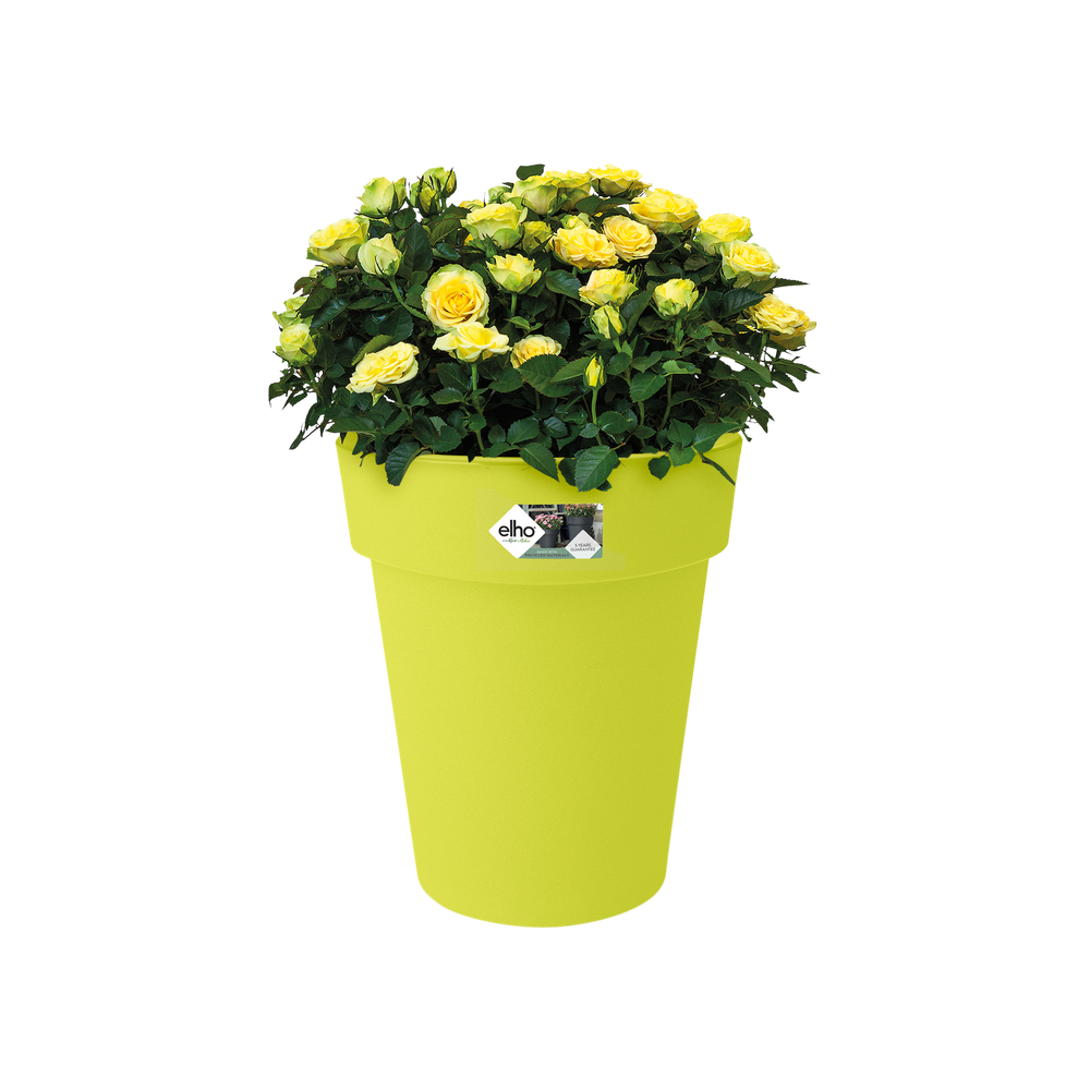 Green Basics Top Planter Hoch 35