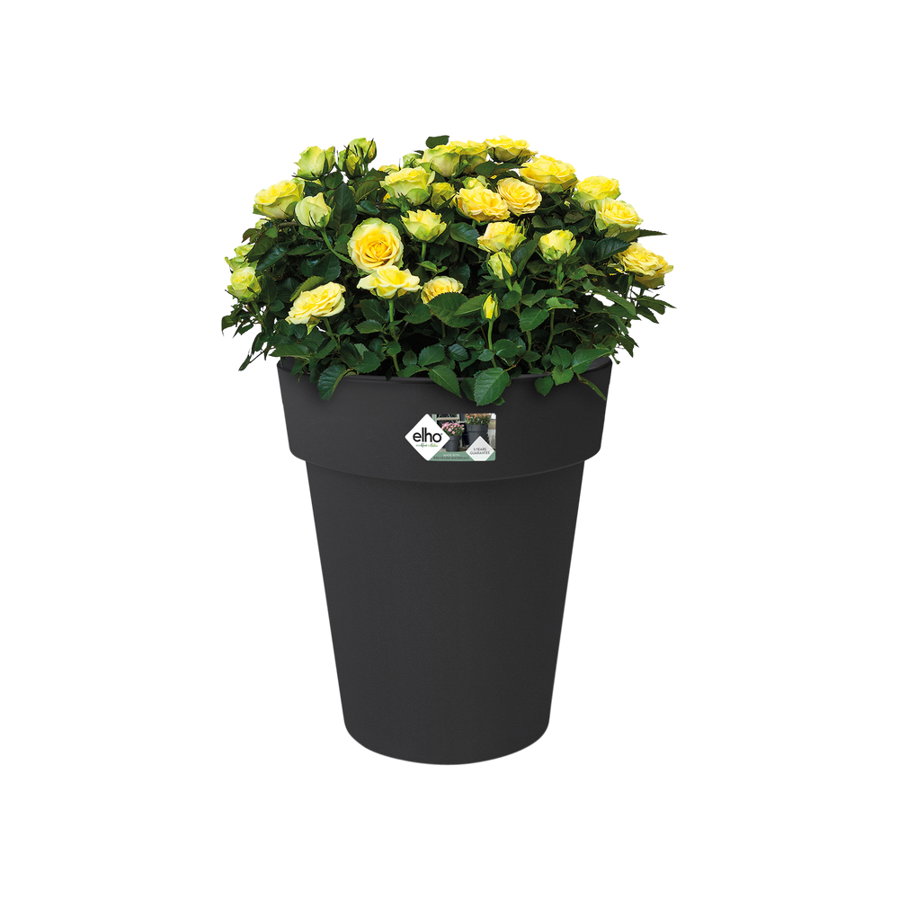 Green Basics Top Planter Hoch 35