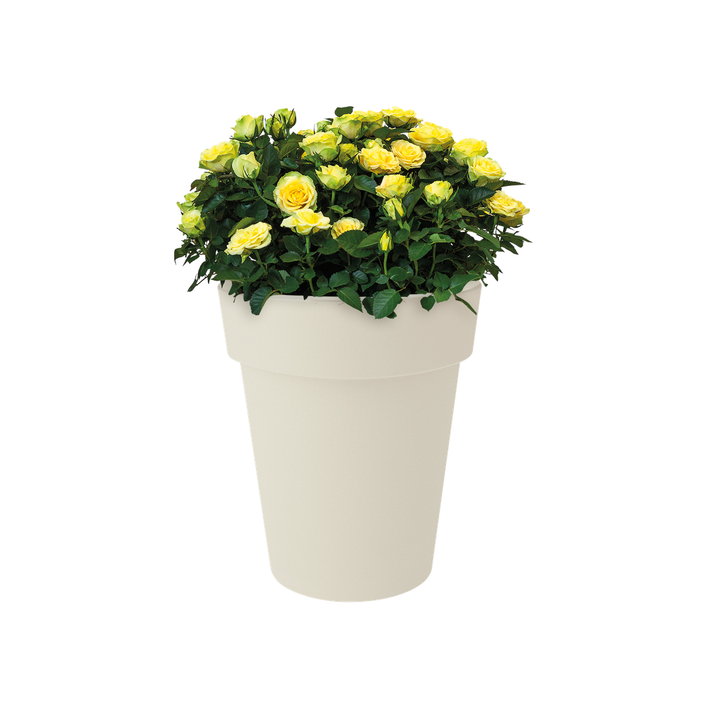 Green Basics Top Planter Hoch 35