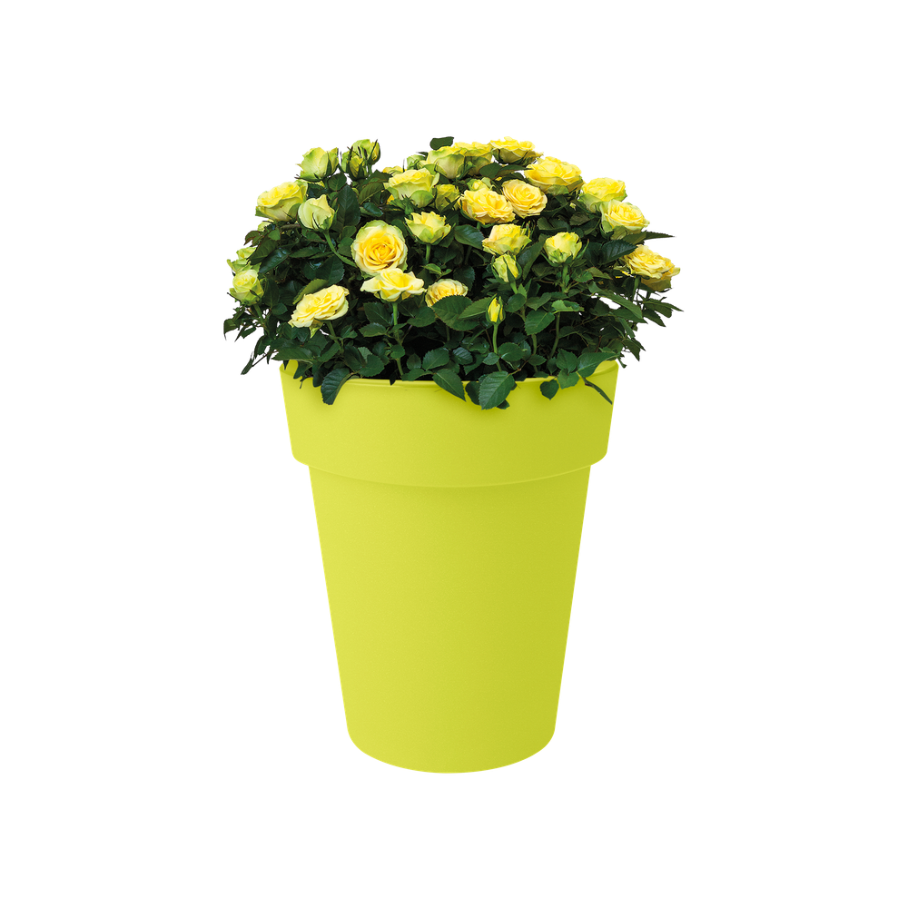 Green Basics Top Planter Hoch 35