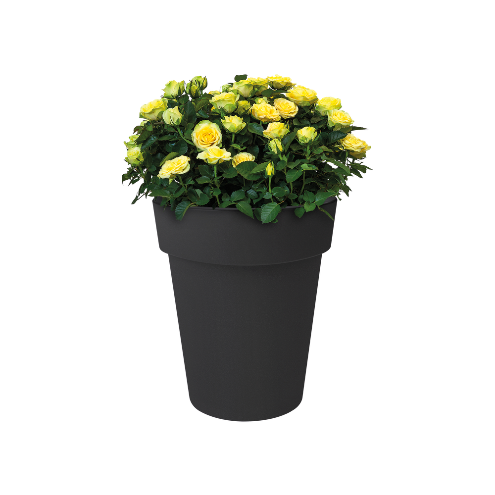 Green Basics Top Planter Hoch 35