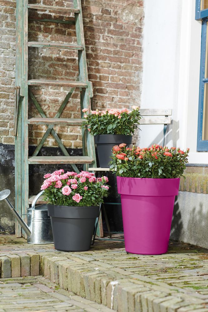 Green Basics Top Planter Hoch 35