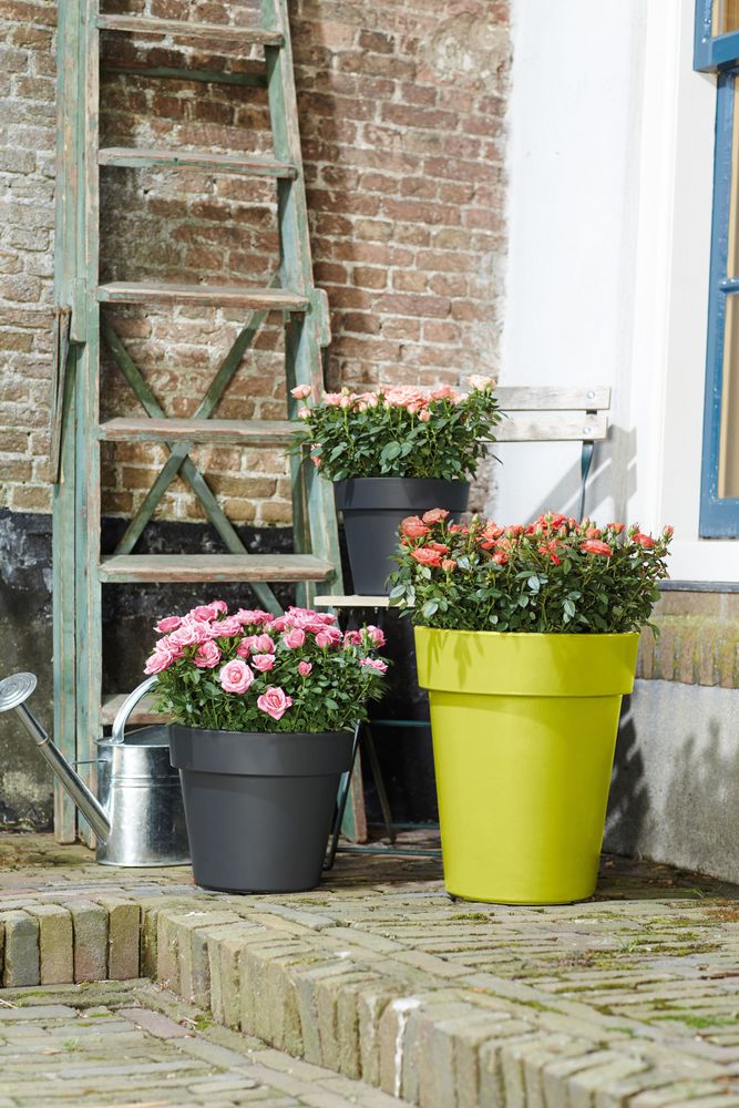 Green Basics Top Planter Hoch 35